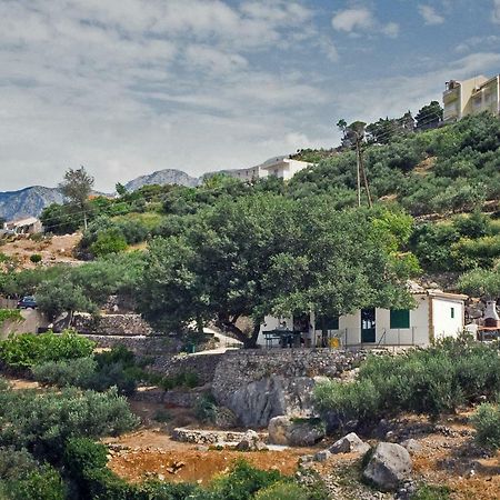 Villa " Davorka" Подгора Экстерьер фото