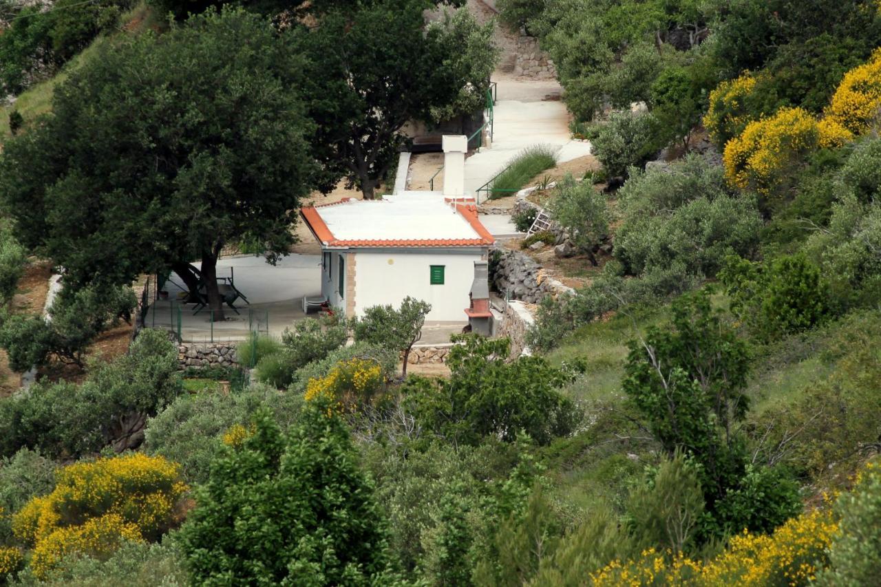 Villa " Davorka" Подгора Экстерьер фото