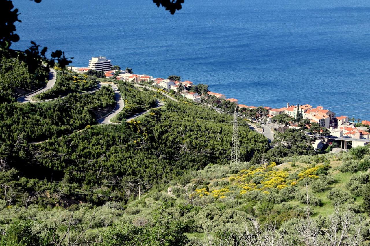 Villa " Davorka" Подгора Экстерьер фото