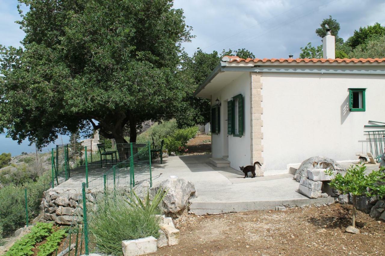 Villa " Davorka" Подгора Экстерьер фото