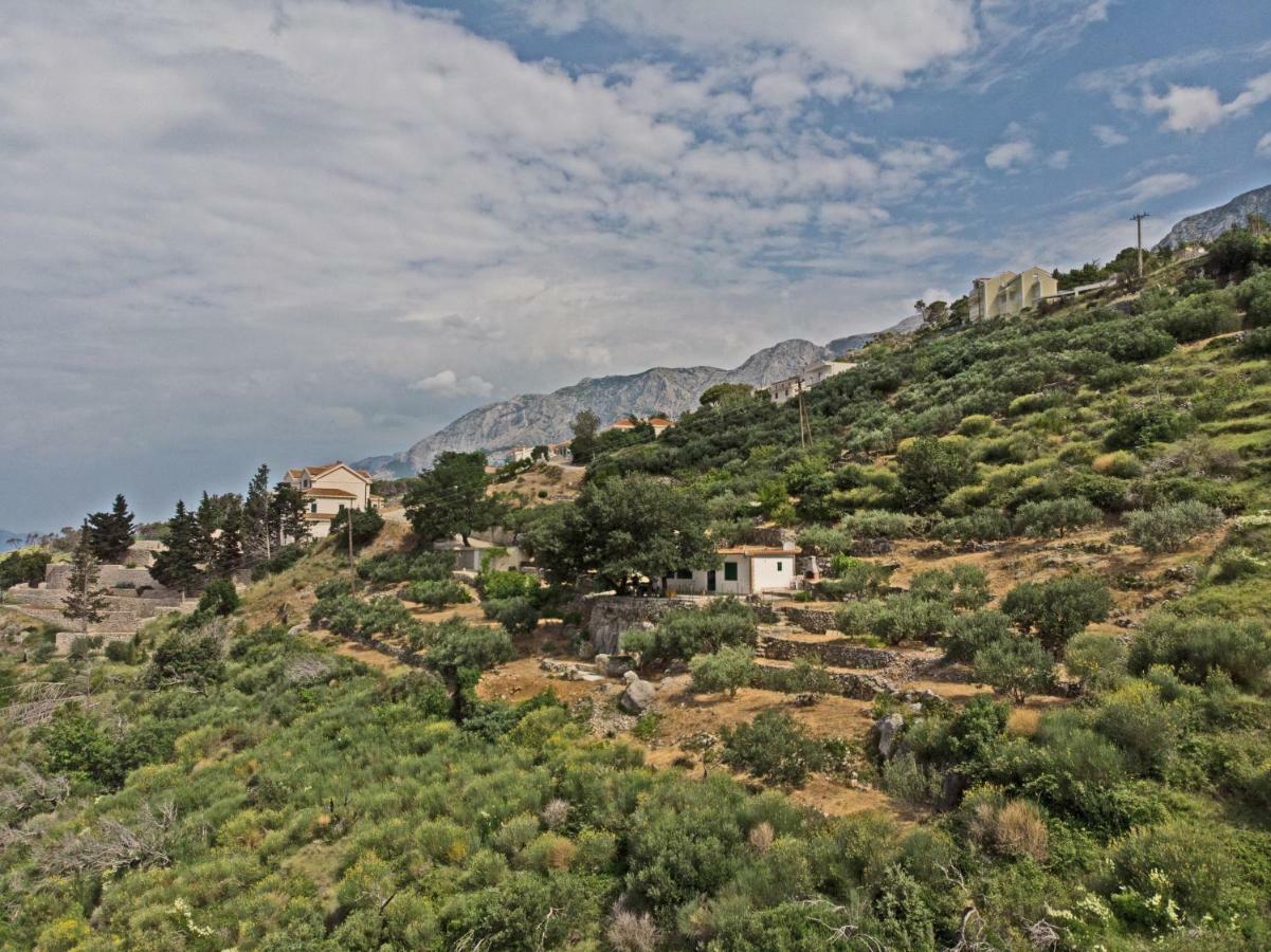 Villa " Davorka" Подгора Экстерьер фото